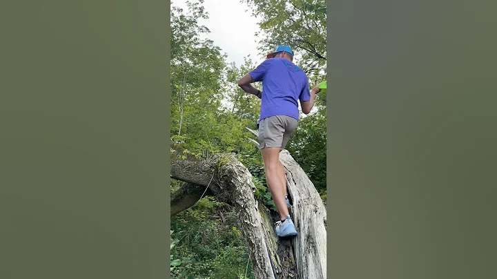 Gotta play it where it lies! #discgolf #discmania #gravitydiscgolf