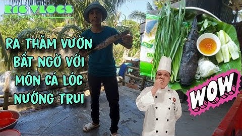 Bất ngờ với cá lóc nướng trui(bỏ phố về quê)#2