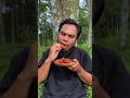 Survival Skills: Anti-Ant FoodCover#camping #survival #bushcraft#outdoors#lifehacks