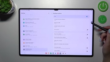 How to Boot Developer Options on SAMSUNG Galaxy Tab S9 Ultra?