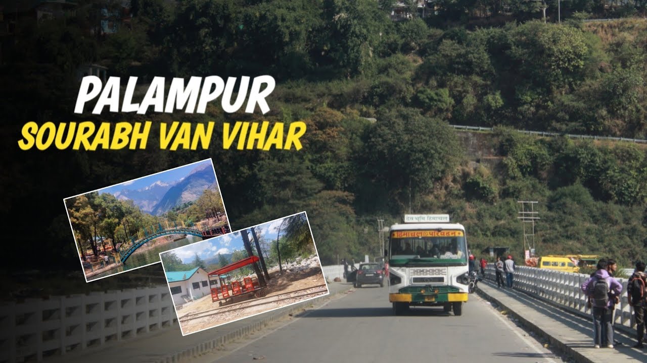 Saurabh Van Vihar Best Place to visit | PALAMPUR TO SOURABH VAN VIHAR by Hrtc bus | Bus Wale Bhaiya