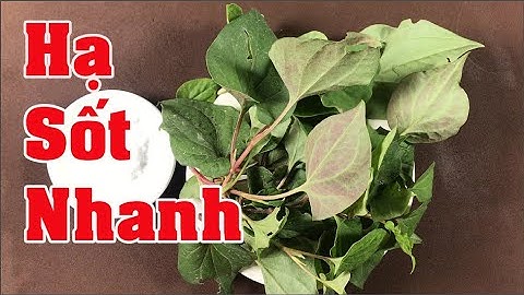 Mách bạn tuyệt chiêu hạ sốt cực nhanh cho người bệnh bằng rau diếp cá, không cần dùng thuốc