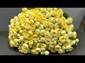 Кущова піоноподібна троянда Піоні Баблз | Доставка квітів BUKETLAND