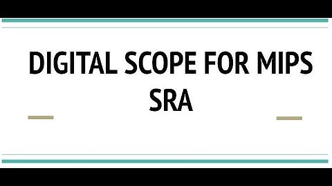 DIGITAL SCOPE FOR MIPS SECURITY RISK ANALYSIS