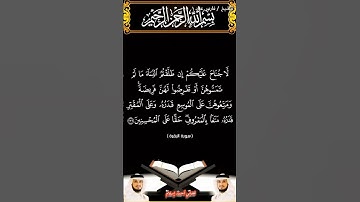 سورة البقرة الآية 236 بصوت الشيخ فارس عباد برواية حفص #القرآن_الكريم #اكسبلور #المصحف #viral