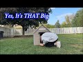 Yes, It’s THAT Roomy 🐶 | Heavy-Duty All-Weather Dog House