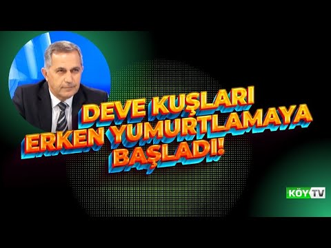 Video: Pet Scoop: İklim Değişikliği Kuşları Tehdit Ediyor, Lagerfeld'in Kedisi Güzellik Ürün Serisini Başlattı