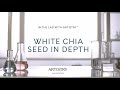 Ask a Scientist: What are White Chia Seeds? - Artistry Skin Nutrition | Amway