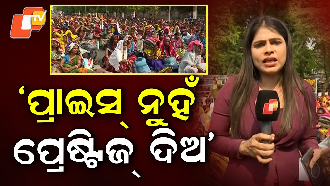 Mid-Day Meal Cooks' Protest Enters Day 2: Continue Dharna at Lower PMG, Bhubaneswar