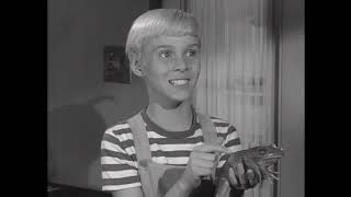 Dennis The Menace - S03E18 - Frog Jumping Contest
