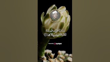 تلاوة خاشعة