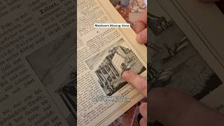 Celebrity 3 Bibles, 3 languages, 1 missing verse 📖🔍🤔 #joefelz #bible #secrets #christianity #truthseeker Net Worth