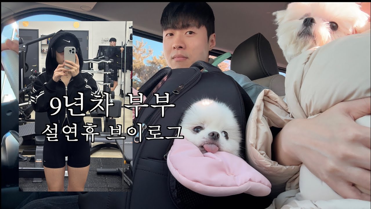 vlog 새해복많이받으세요🐍  설연휴 브이로그