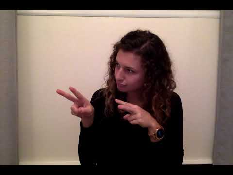 ASL Deaf Observation Report 2