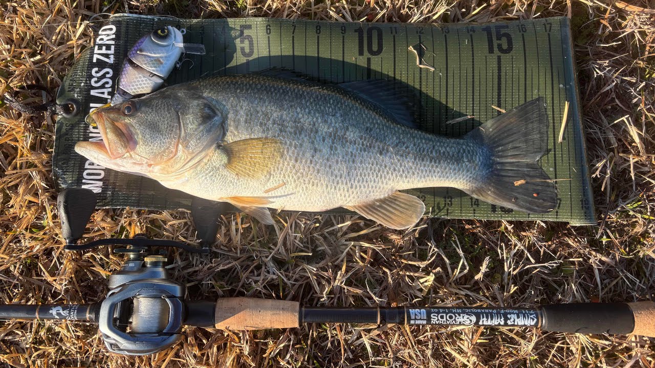 This Leviathan Swimbait Rod Is a Monster (Bass Didn’t Stand a Chance)