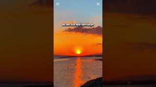 old'lar bilir #youtubeshorts #shorts