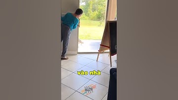 chú cá sấu tìm đến tận cửa nhà