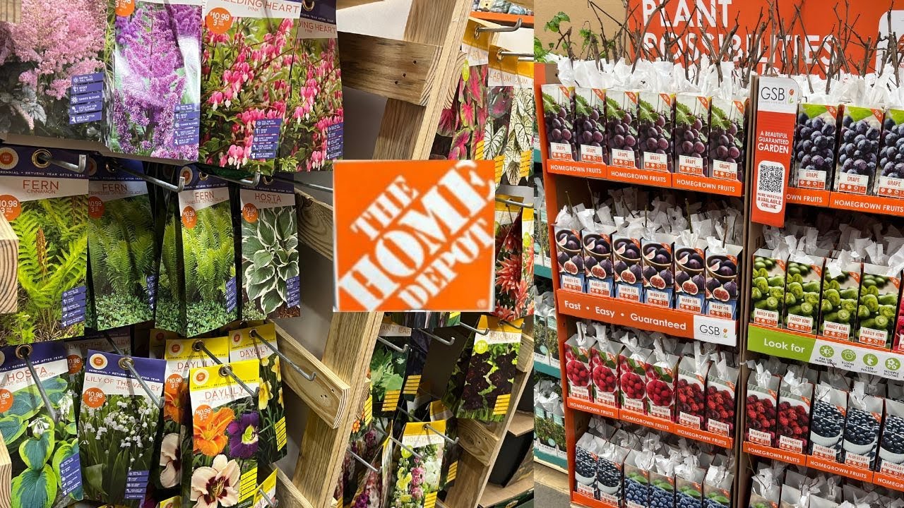NEW Shopping at Home Depot Garden Center for Bulbs and Bare Roots to ...