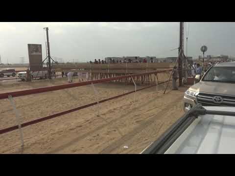 المركاض التراثي الشوط الأول عيسى ناصر سيف الغفلي