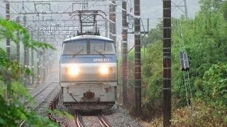 2015/08/29 JR貨物 5071レ EF66-117[吹]号機＋コキ23B 東海道本線
