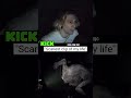 "Scariest clip of my life"#xqc #shorts #viral #fyp