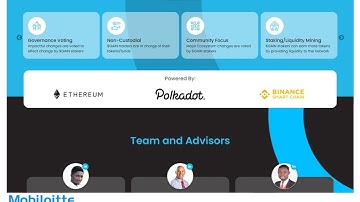 Cross Chain Bridge Project Developed by Mobiloitte | Portfolio