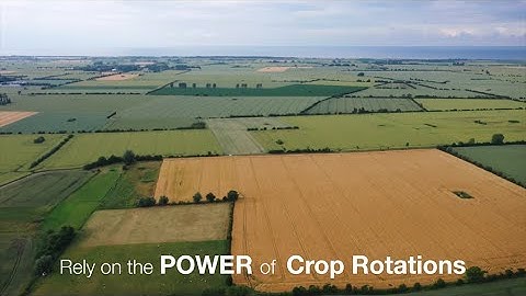 The Power of Crop Rotations