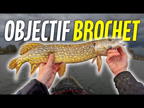 MA PREMIÈRE SESSION BROCHET !