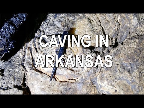 Vídeo: Visiteu les cavernes de Blanchard Springs a Mountain View, AR