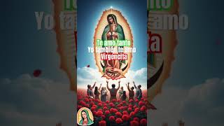 #virgendeguadalupe #virgenmaria #mexico #basilica #fe #dios #palabradios #dreamscreenai #jesuschrist