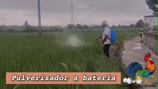 Sulfatadora pulverizador eléctrico