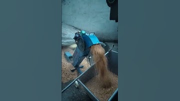 Small grain raking machine, soybean, corn, rice, sand bulk grain can produce 30 tons per hour