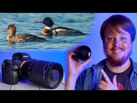 Using a 500mm Mirror Lens for Nature Photography