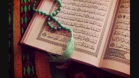 سورة النبأ تلاوة حزينة بصوت القارئ (وديع اليمني)