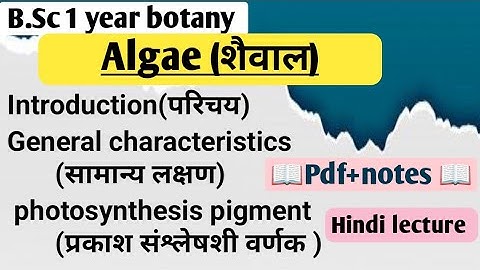 Algae।। शैवाल।।lecture -1।।B.Sc 1 year।। Botany।। paper-2
