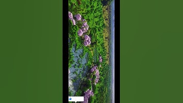 render distance with shaders #minecraft