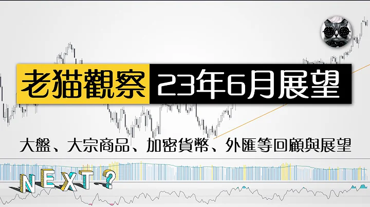 【老猫观察】2023年6月展望：股市大盘、贵金属、大宗商品、比特币、外汇、国债ETF回顾与分析 | 老猫与指标 - 天天要闻