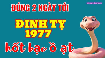Số Hưởng: Đinh Tỵ 1977 - Đúng 2 Ngày Tới, Lộc Trời Gõ Cửa, Trúng Đậm Tiền Tỷ Giàu Hơn Đại Gia