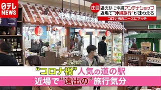 「新型コロナ」でコンパクトな旅が人気 “道の駅”で沖縄旅行？（2020年11月24日放送「news every.」より）