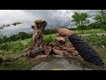 Tree Service: Climber highlights a few top climbs of the week