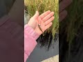 Рыбак от бога #спиннинг #рыбалка #fishing