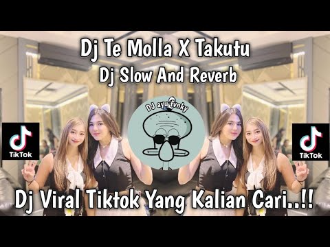 DJ TE MOLLA X TAKUTU DJ SLOW AND REVERB FYP TIKTOK TERBARU 2025 