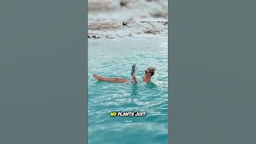 🌊 Dead Sea – The Sea You Can’t Sink In