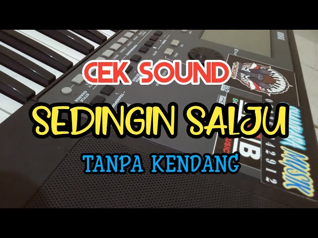 Cover Cek Sound  SEDINGIN SALJU  Tanpa Kendang class=