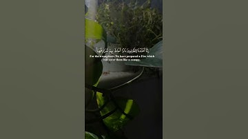 وللحق من ربكم | تلاوة تقشعر لها الأبدان بصوت خاشع من القارئ محمد ديبيروف