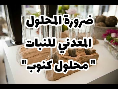 فيديو: ما هو النبات المعدني؟