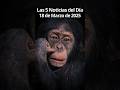 Las 5 Noticias del Día, 18 de Marzo de 2025