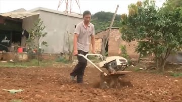 Tin tức 24h: Thu hút đầu tư nông nghiệp bằng Đề án tái cơ cấu ngành