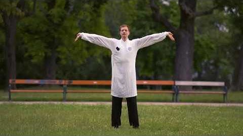 Introducing the Principles of Qi Gong Practice - Five Animal #Qigong #Wuxing #Wudangschool