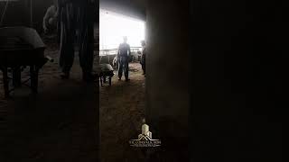 Plaster work . #ytshorts The Construction Professionals Karachi . #trending #construction #youtube